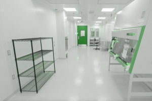 Cleanroom: A Comprehensive Guide to Design, Standards, and Applications