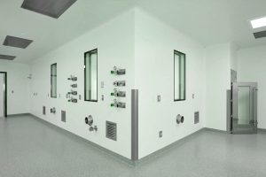 Are Cleanroom Wall Systems Effective for Clean Work?