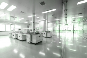 PVC or Polypropylene for cleanroom