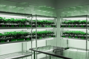Grow/Cultivation Cleanrooms