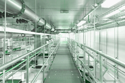 Walkable Cleanroom Ceilings