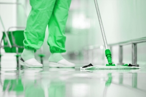 MicroElectronics Cleanroom Cleaning