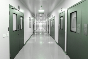 Cleanroom Doors: How to Choose ISO-Compliant, Airtight Solutions for Maximum Protection