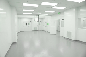 Cleanroom known unknowns: Airlocks