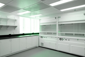 Cleanroom Renovation or New Build